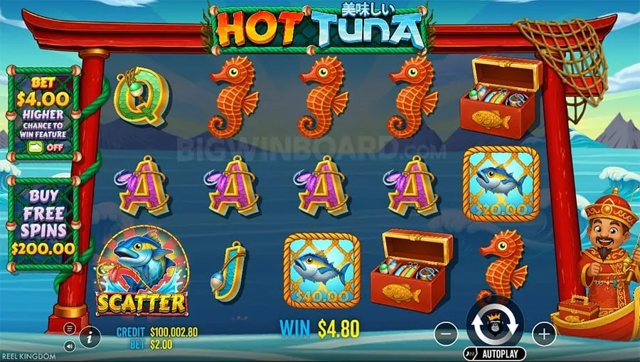 Live Casino Beginner Guide